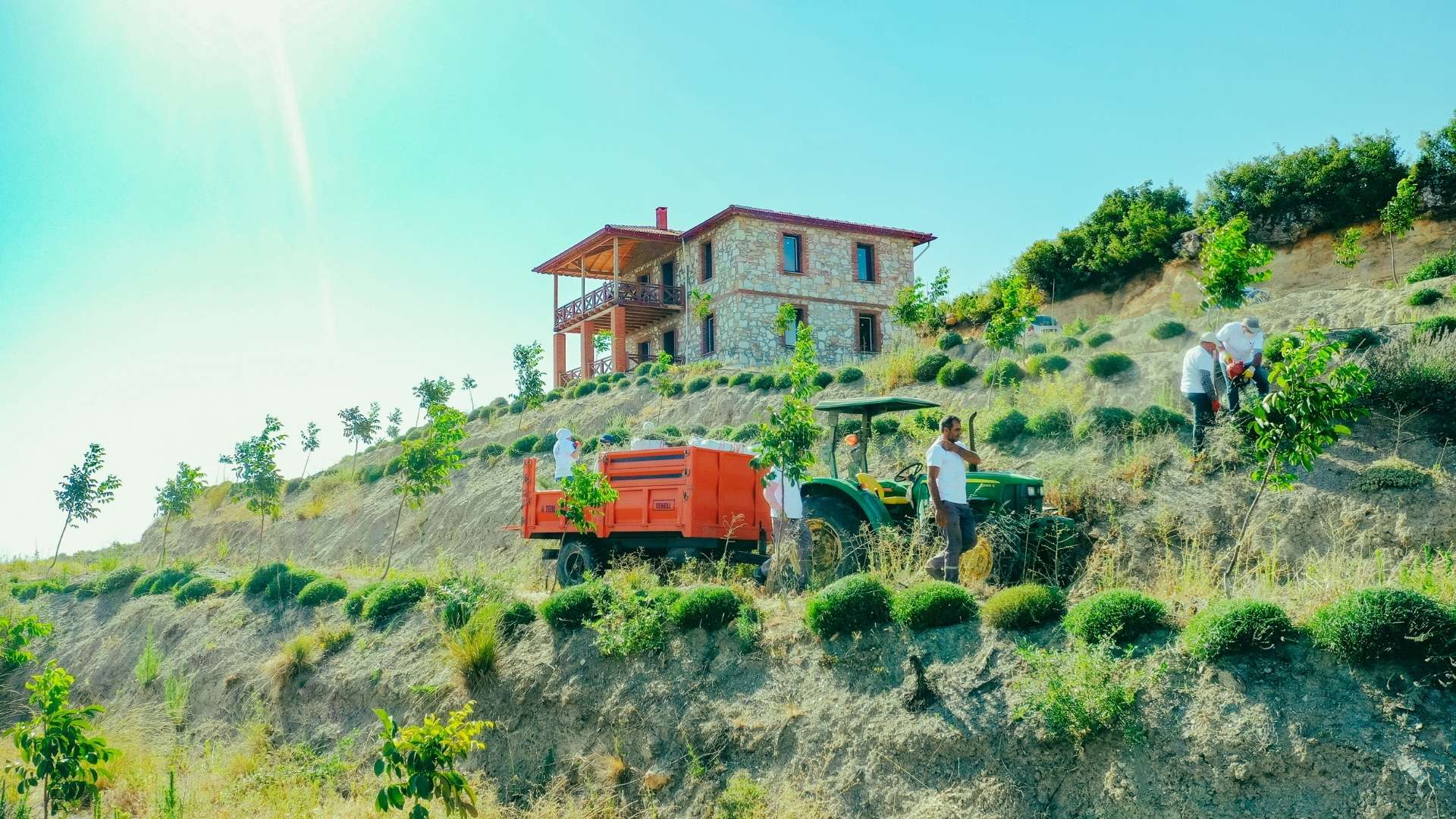 Teknoloji Kuluçka Merkezleri Anadolu'ya Yayılıyor
